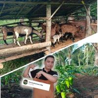 original sound - Farming Business Atbp