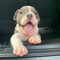 aaaaaa_614