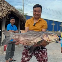 original sound - quang_bavuong