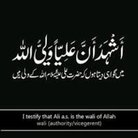donof591