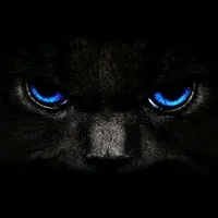 if i dont laugh ill cry