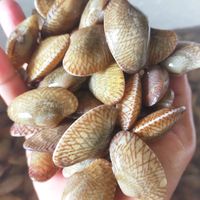 ocbuseafood