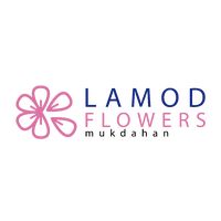 lamodflower_wedding