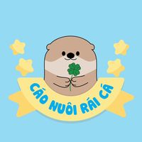 caonuoi.raica