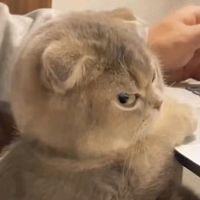 imaeyettttt