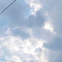 suara asli - Mbak Kreator Capcut