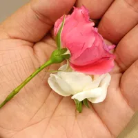 original sound - desimazaaaaa