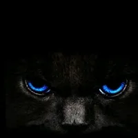 original sound - toiscr2524