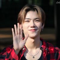 littlepluggy_
