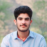 kamrankhan8690