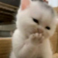 suara asli - C h y⛓️🍁