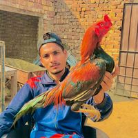 waseemnawaz972
