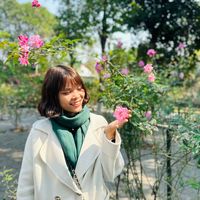 nhạc nền - Rất Thảo cố lên 💞