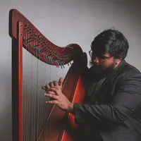original sound - carllin.the.harpist