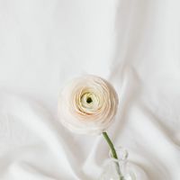 เสียงต้นฉบับ - chillinglala