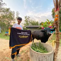 thanaphat_2001s_14