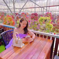 alice.ao