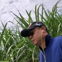 chukiat8888