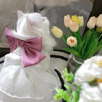 เสียงต้นฉบับ - Cxsm0 ☆ ༘ *