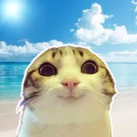 original sound - janrevv