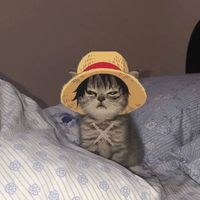 bxibxx_