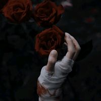 darkmirrorart.autorka