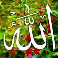 original sound - allahallah3988