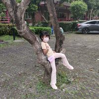 kun_mintmax