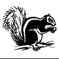 xmup.com