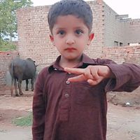 zaman_455