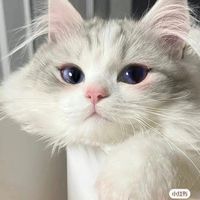 cn__0603