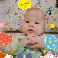 qyana81