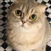 เสียงต้นฉบับ - ป๋อจ้าน40