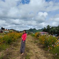 original sound - Nan Kham