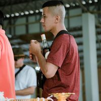 wari493