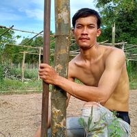 pai.noi