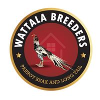wattala_parrotbeak