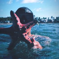 suara asli - IKAR JAYA