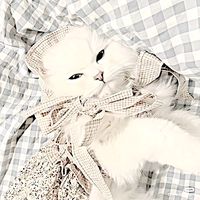 sweetcupcakeuu_