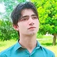 hamid__writs786