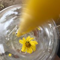 เสียงต้นฉบับ - Music’s Moments