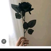 เสียงต้นฉบับ - 💔封心锁爱💔