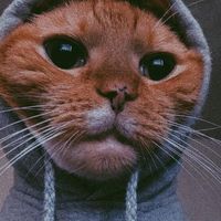 original sound - 📌