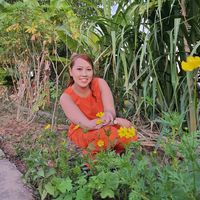 nhạc nền - hoa cỏ may