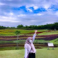 dnralip