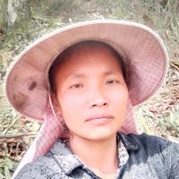 user__20062