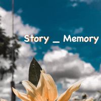 story_memory_9