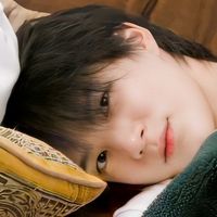 fairymidnight_