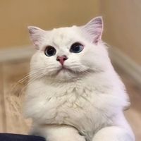 ming.haraya