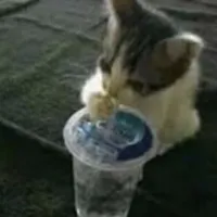 original sound - bananabreadlvrr